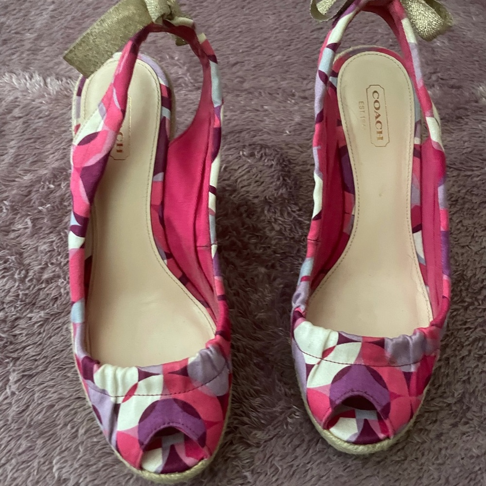 Colorful wedges